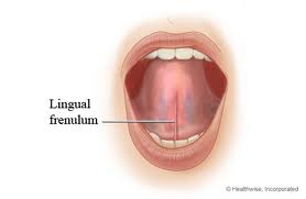 soft-tissue-laser-tongue-tied