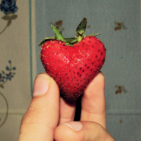 strawberry